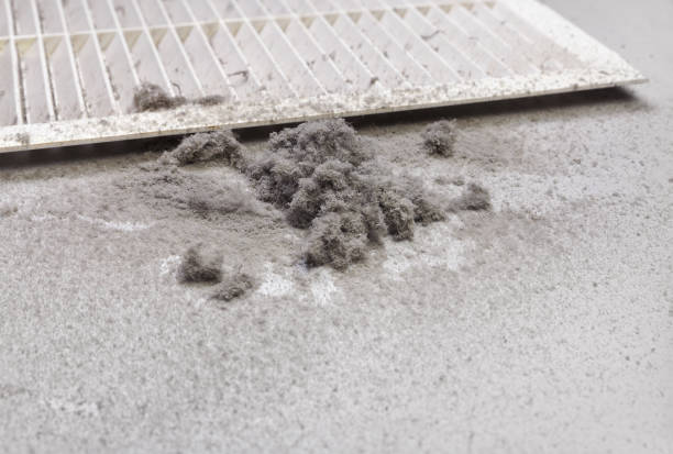 Best Commercial Air Duct Cleaning  in Medulla, FL