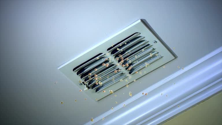 HVAC System Cleaning in FL