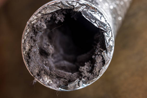 Best HVAC Duct Inspection Services  in Medulla, FL